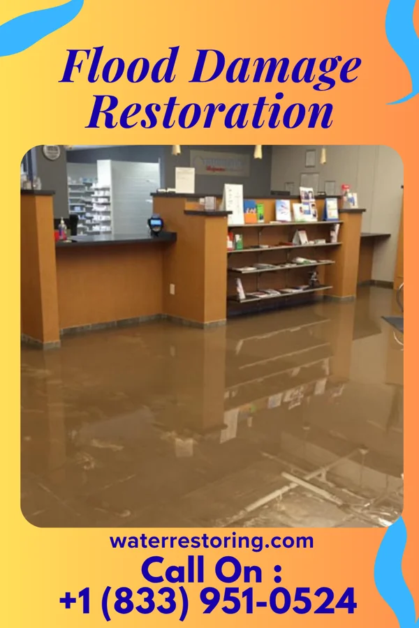 Flood Damage Restoration in Romeo, MI