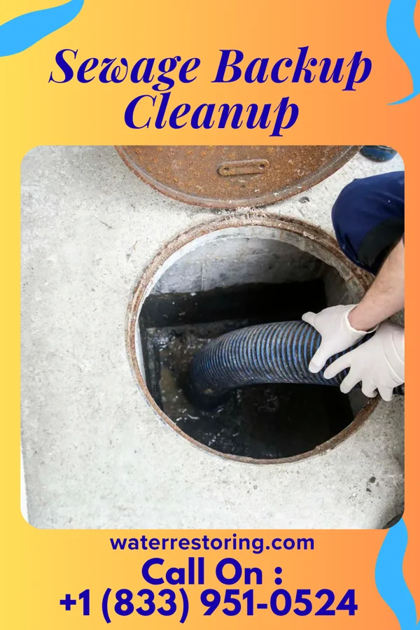 Sewage Backup Cleanup in Romeo, MI