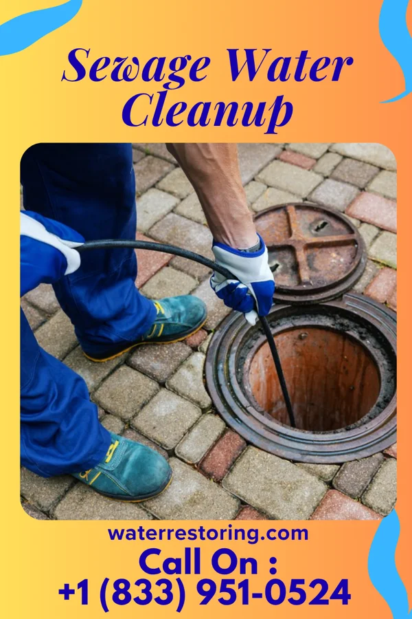 Sewage Water Cleanup in Romeo, MI